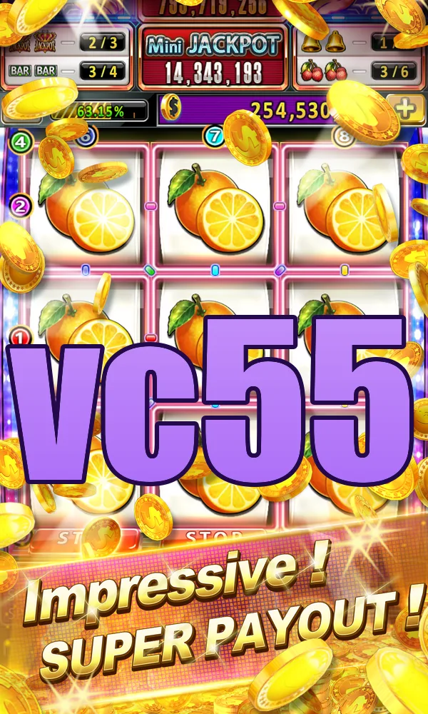 vc55 APK